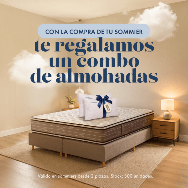 Llevate dos almohadas de regalo CONOCER MÁS